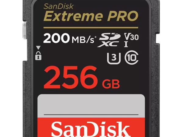 SDXC SanDisk 256GB Extreme PRO, SDSDXXD-256G-GN4IN