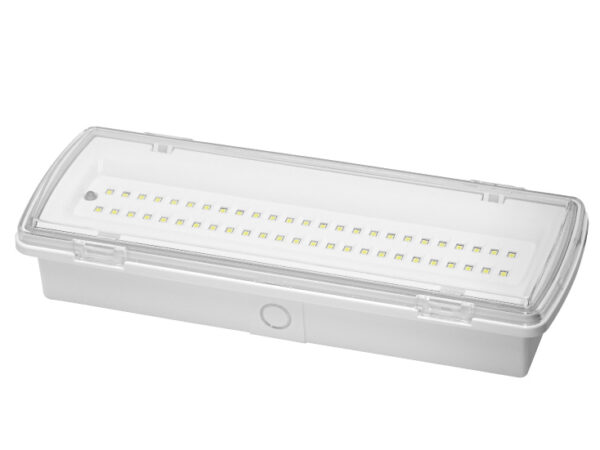 Punjiva LED nadgradna lampa 50 LED, 4.5W