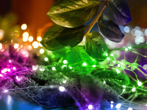 Lampice za jelku sa 20 višebojnih LED dioda