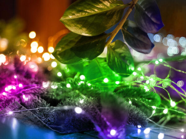 Lampice za jelku sa 50 višebojnih LED dioda