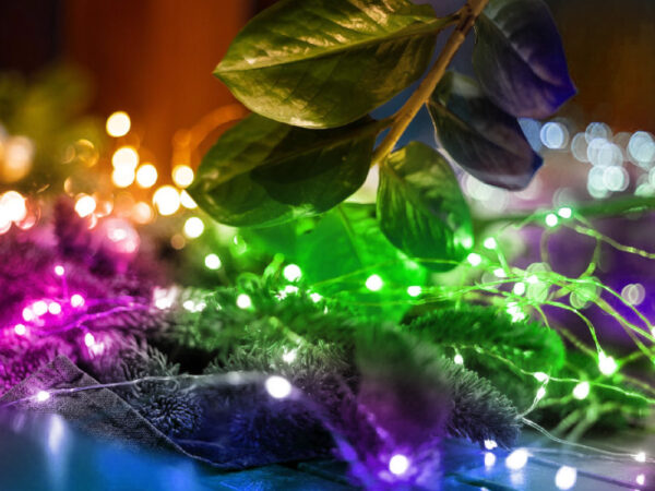 Lampice za jelku sa 30 višebojnih LED dioda