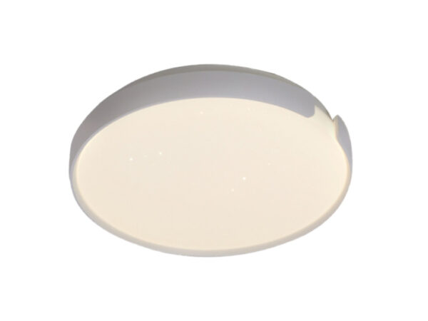 LED plafonjera 24W toplo i hladno bela