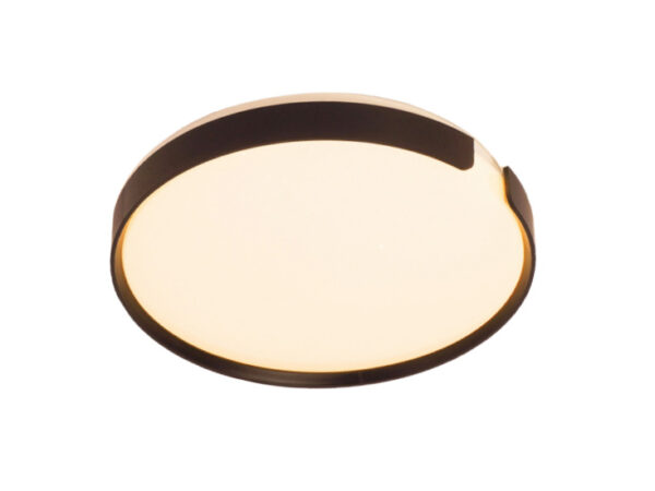 LED plafonjera 24W toplo i hladno bela