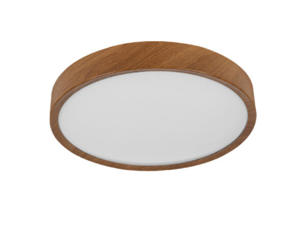 LED plafonjera 24W hladno bela