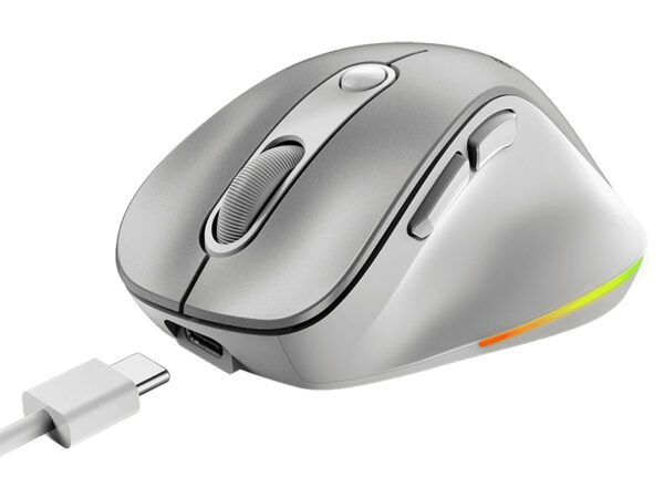 GENIUS Ergo 9000S Pro Silver USB Bežični sivi miš