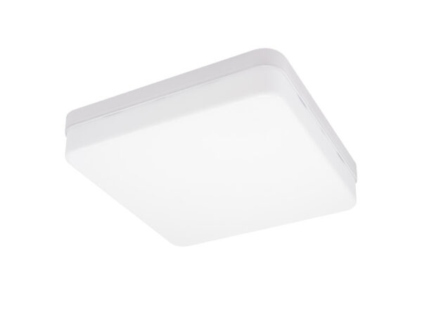 LED plafonjera 24W hladno bela