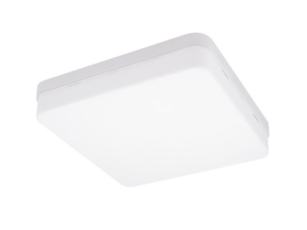 LED plafonjera 36W hladno bela