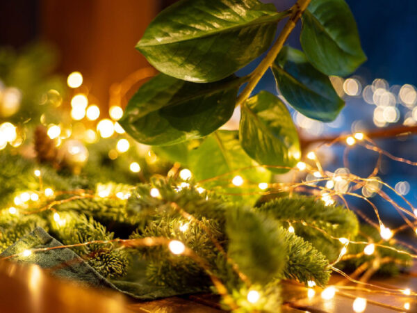 HOME Lampice za jelku sa 20 toplo belih LED dioda